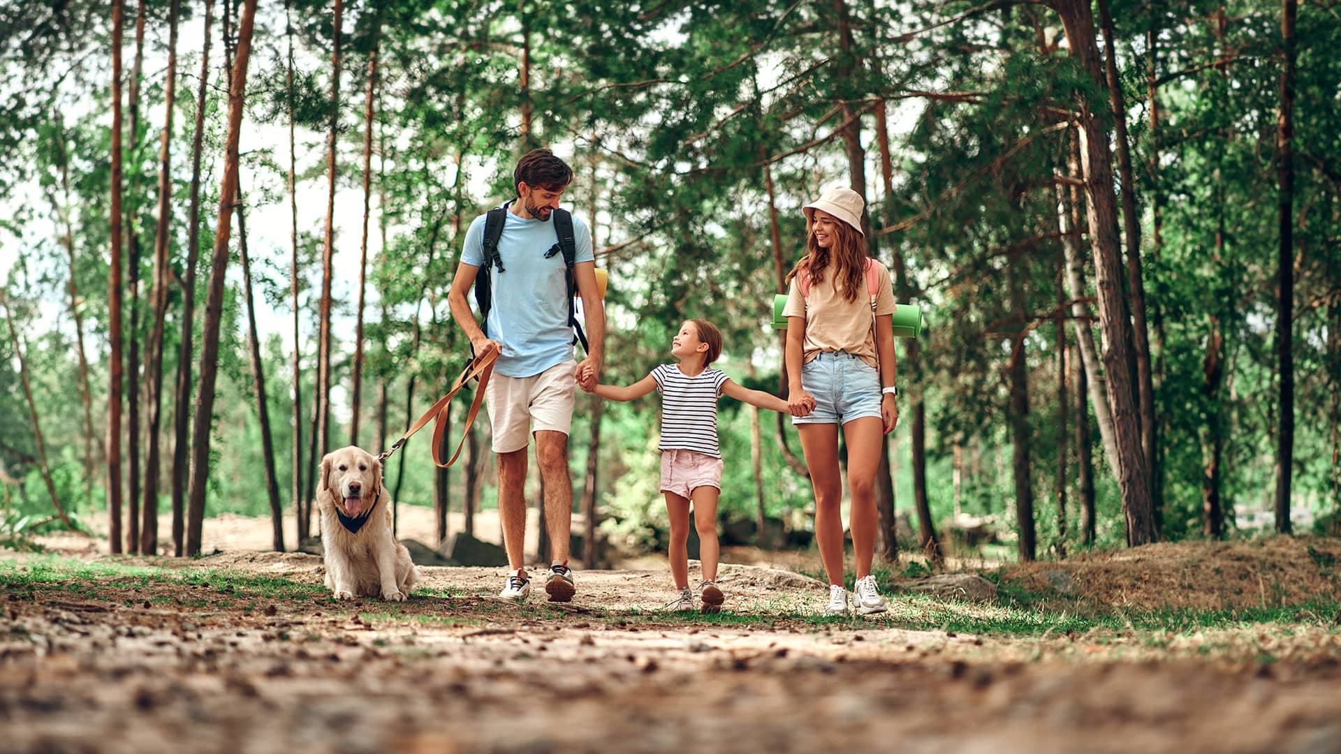 Família a passear num pinhal com o cão