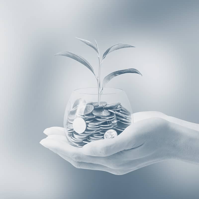 Mão a segurar um frasco com moedas de onde nasce uma planta